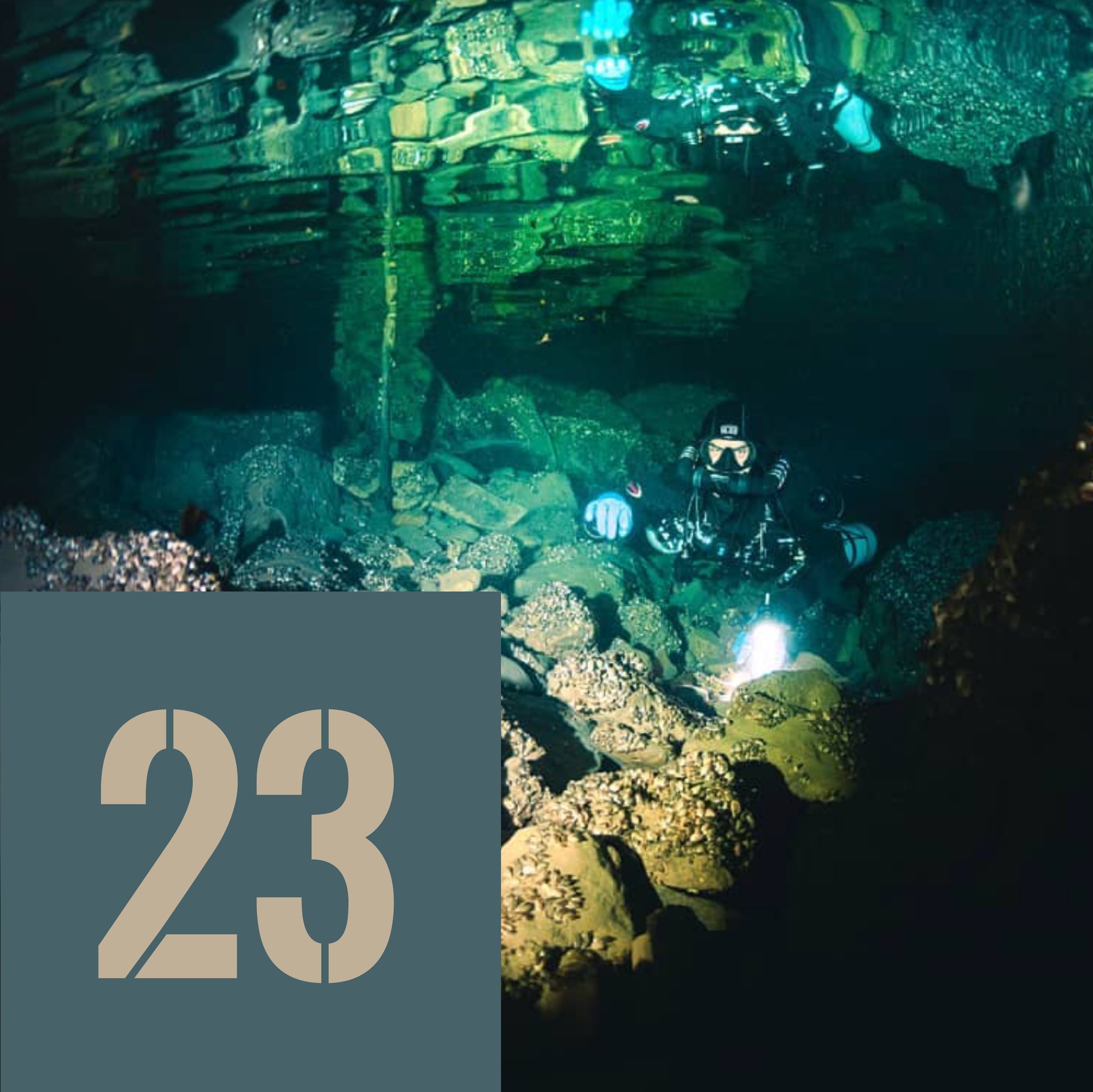 2⃣3⃣décembre, J-2 !! Une petite randonnée aquatique ou une plongée de prévue ? Nous vous offrons 15% de remise sur tout l'assortiment masque, tuba et verres correcteurs en stock ! 

https://shop.plongee.ch/fr/shop/masques-lunettes/SXRlbUZhbWlseQpsMTAwMDAwMDAwMDAwNDc?page=5

#fêtesdefindannée #calendar #decembre #scubadiving #switzerland #lake #geneva #lacleman #lakegeneva #suisse #ig_switzerland #vevey #igerslausanne #scuba #underwater #diving #scubadive #swissdiving #swissdiver #plongeech #plongeesuisse #neuchatel #plongée #plongeesousmarine #tecdiving #tauchen #lacdeneuchatel #jura