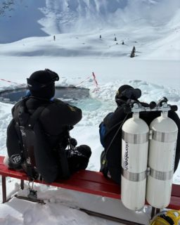 Retour en images sur notre week-end givré au lac Lioson !
Perché à 1850 mètres d’altitude, ce lieu magique a accueilli une vingtaine de plongeurs venus vivre – ou revivre – l’expérience unique de la plongée sous glace.
Un grand merci à tous les participants pour ces moments partagés.
L’école de plongée PTS et votre magasin Plongée.ch se réjouissent déjà de vous retrouver l’année prochaine pour une nouvelle aventure glacée !

#laclioson #plongee #scuba #scubadiving #icediving #suisse #puidoux #tecdive #neuchatel #vaud #plongeesousglace #sousglace 
Photo @armandcaro_uw
