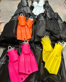 ⚡️Les Rk3 sont là !

Une des références des palmes techniques. 
Conçues pour les plongeurs exigeants, les Apeks RK3 offrent puissance, maniabilité et robustesse incomparables.

🔹 Disponibles en plusieurs tailles et couleurs. Passez au magasins de Puidoux ou Neuchâtel pour les tester 🤿

Webshop : https://plongee.ch/rk3

#apeks #palmes #RK3 #plongee #plongeesousmarine #vaud #scubadiving #switzerland #lake #geneva #lacleman #lakegeneva #suisse #ig_switzerland #vevey #igerslausanne #scuba #underwater #diving #scubadive #swissdiving #swissdiver #plongeech #plongeesuisse #neuchatel #plongeesousmarine #tecdiving #puidoux