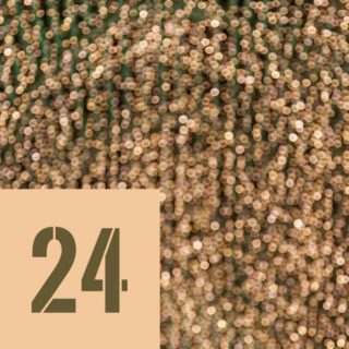 🎄 2⃣4⃣ décembre — Calendrier de l’Avent 2025
On termine en douceur ☕🥐
Café et croissants offerts à tous nos clients au magasin de Puidoux !

Passez nous voir, partagez un moment convivial et préparez vos prochaines plongées avec nous.

Joyeuses fêtes et belles bulles 🎄🤿