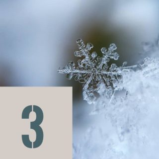 🎄 3⃣ décembre — L’offre du jour !
Plongez connecté avec les ordinateurs Mares Quad Ci :

🖥️ Quad Ci → 469.– au lieu de 549.–
📡 Quad Ci + émetteur → 639.– au lieu de 749.–

Une occasion parfaite pour mettre votre équipement à jour avant vos prochaines plongées !
Offre disponible en magasin et sur notre webshop: https://plongee.ch/mares-quad-ci

#mares #ordinateur #quadci #calendrierdelavent #calendar #decembre #scubadiving #switzerland #lake #geneva #lacleman #lakegeneva #suisse #ig_switzerland #vevey #scuba #underwater #diving #scubadive #swissdiving #swissdiver #plongeech #plongeesuisse #neuchatel #plongée #plongeesousmarine #tecdiving #tauchen #lacdeneuchatel #jura