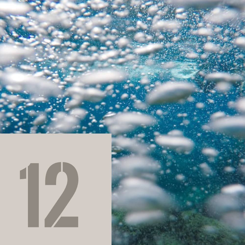 🎄 1⃣2⃣ décembre — Calendrier de l’Avent 2025
Aujourd’hui, on parle confort ET style sous l’eau… ✨
Nos stars du jour signées Aqualung arrivent en promotion :

💥 Axiom — le gilet tout-terrain qui fait l’unanimité
👉 549.– au lieu de 649.–

💥 Pro HD — robuste, fiable, prêt pour toutes vos immersions
👉 439.– au lieu de 495.–

Deux valeurs sûres pour des plongées tout en maîtrise. À vous de choisir votre compagnon idéal ! 🤿💙

#calendrierdelavent #plongee #scubadiving #aqualung #axiom #proHD #plongeech #plongeesuisse #swissdiving #calendar #decembre #scubadiving #switzerland #lake #geneva #lacleman #lakegeneva #suisse #ig_switzerland #vevey #igerslausanne #scuba #underwater #diving #scubadive #swissdiving #swissdiver #plongeech #plongeesuisse #neuchatel #plongée #plongeesousmarine #tecdiving #lacdeneuchatel