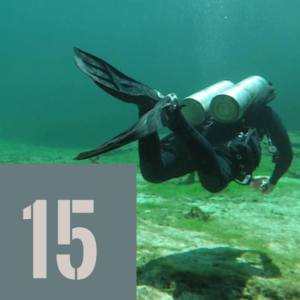 🎄 1⃣5⃣ décembre — Calendrier de l’Avent 2025
Nouveauté en magasin cette année: la gamme Oceanarium 🌊🤿

🐌 Étiquettes Nudibranches pour équipement
👉 23.– au lieu de 29.–

👜 Sac étanche 2 litres
👉 12.– au lieu de 16.–

Des accessoires pratiques, ludiques et indispensables pour organiser votre équipement de plongée !
 

#decembre #scubadiving #switzerland #lake #geneva #lacleman #lakegeneva #suisse #ig_switzerland #vevey #igerslausanne #scuba #underwater #diving #scubadive #swissdiving #swissdiver #plongeech #plongeesuisse #neuchatel #plongée #plongeesousmarine #tecdiving #calendrierdelavent #plongee #scubadiving #oceanarium #accessoires #sacetanche #plongeech #plongeesuisse #swissdiving