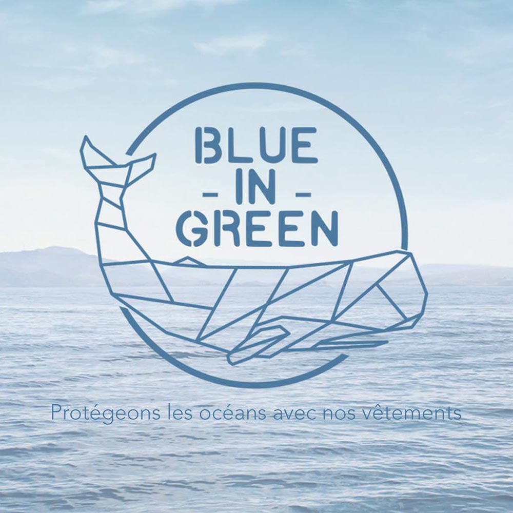 Blue in Green logo