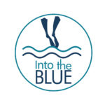 Into The Blue Plongée à Chandrieux Lac Du Bourget
