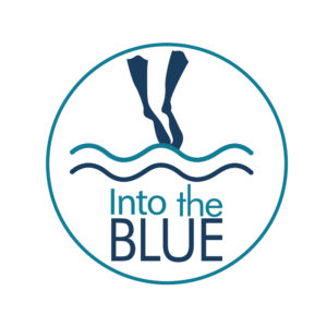 Into the blue plongée à Chandrieux lac du Bourget