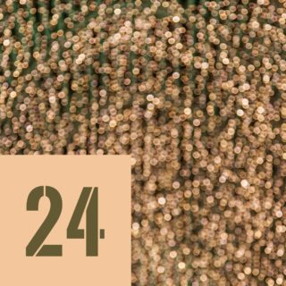 2⃣4⃣ décembre, Oh oh oh🎅! Toutes les fenêtres sont ouvertes et pour l'occasion nous vous proposons de profiter de toutes les actions du calendrier de l'avent ce 24 décembre dans vos magasins de Puidoux, Neuchâtel et le webshop.
Demain nous avons une surprise pour vous 🎄

https://shop.plongee.ch/fr/shop/promotions

#fêtesdefindannée #calendar #decembre #scubadiving #switzerland #lake #geneva #lacleman #lakegeneva #suisse #ig_switzerland #vevey #igerslausanne #scuba #underwater #diving #scubadive #swissdiving #swissdiver #plongeech #plongeesuisse #neuchatel #plongée #plongeesousmarine #tecdiving #tauchen #lacdeneuchatel #jura