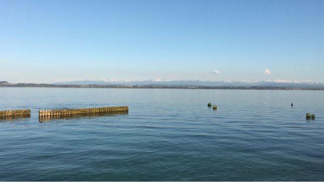 💦 Occupation du site de la plage de Boudry les dimanche 22 et lundi 23 mars 2026.

💧À l’occasion de la Journée mondiale de l’eau, la société Eli10 organise une manifestation publique sur le site en partenariat avec les Communes de Boudry et Milvignes, comprenant une exposition, des visites d’ouvrage ainsi qu’une journée pédagogique destinée aux écoles.

💧 Durant ces deux journées, l’espace habituellement utilisé pour l’accès au lac et le stationnement sera partiellement occupé par les infrastructures de l’événement (tente, zone d’accueil, logistique). De ce fait, les places de stationnement seront fortement limitées et l’organisation générale du site ne permettra pas une utilisation habituelle pour les activités de plongée.

💧 Afin d’éviter toute difficulté ou déplacement inutile, nous vous informons que le site sera difficile d’accès pour les activités subaquatiques les 22 et 23 mars 2026.

#boudry #journeemondialedeleau #plongée #scubadiving #switzerland