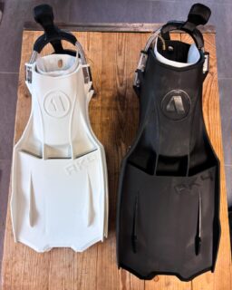 🖤🤍 APEKS RK4 : de nouveau disponibles au magasin de Puidoux en noir ou en blanc !

Robustesse, efficacité et fiabilité : les palmes Apeks RK4 sont prêtes à vous accompagner dans vos prochaines aventures sous-marines. 🤿🌊

📍 Passez nous voir pour les découvrir.

#Apeks #RK4 #Plongée #ScubaDiving #PlongeeCH