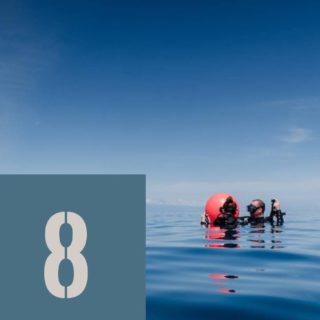 🎄 8⃣ décembre — Calendrier de l’Avent 2025
À vous de jouer ! 🎁
Trouvez le Mignon de Noël caché dans notre webshop.

Une fois repéré, envoyez une capture d’écran ou le lien à : info@plongee.ch
👉 Les 3 premiers messages reçus (date et heure faisant foi) remporte l’article !

Bonne chasse 🎅🔍

#calendrierdelavent #jeu #concours #plongee #scubadiving #plongeech #swissdiving #plongeech #calendar #decembre #scubadiving #switzerland #lake #geneva #lacleman #lakegeneva #suisse #ig_switzerland #vevey #igerslausanne #scuba #underwater #diving #scubadive #swissdiving #swissdiver #plongeech #plongeesuisse #neuchatel #plongée #plongeesousmarine #tecdiving #lacdeneuchatel #jura