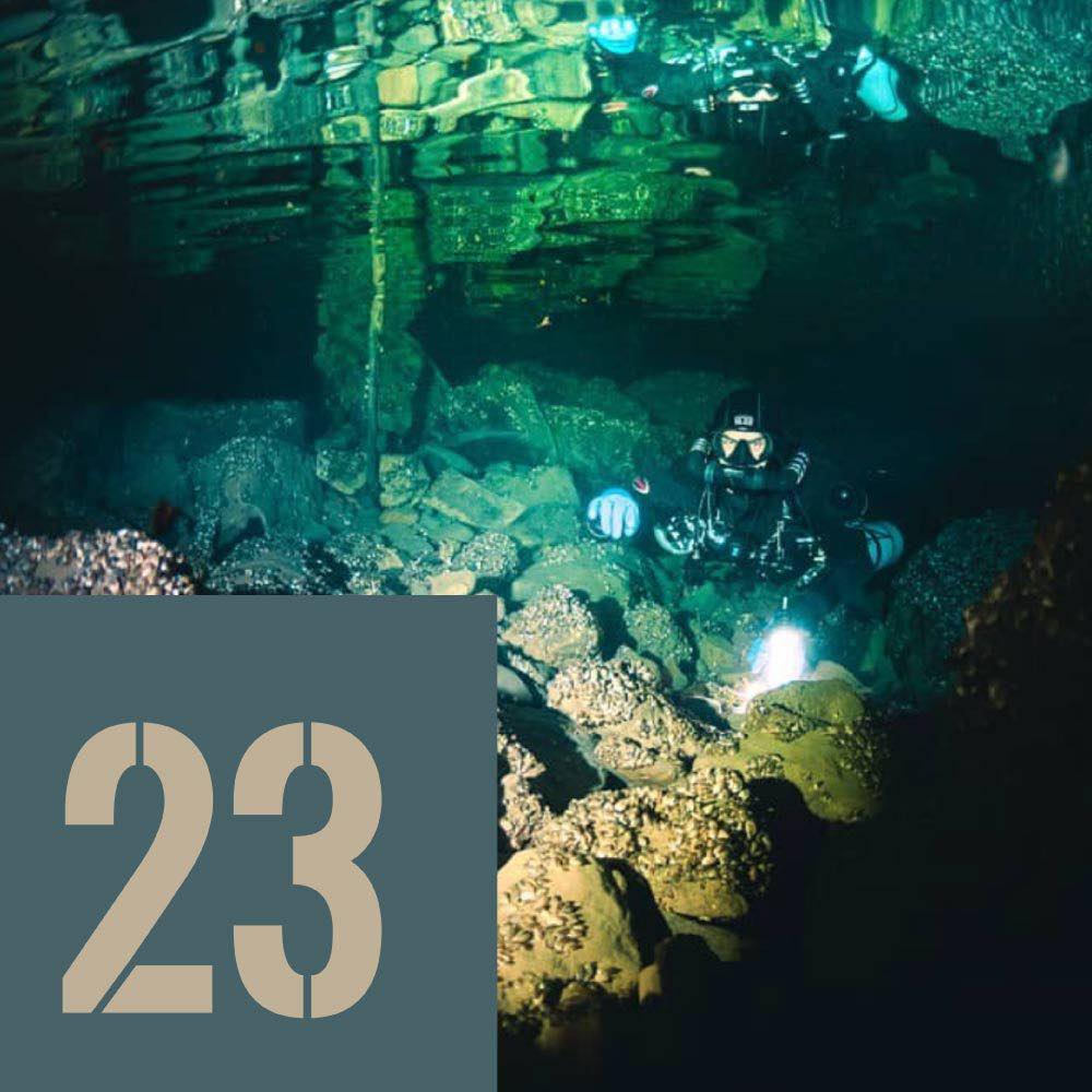 🎄 2⃣3⃣ décembre — Calendrier de l’Avent 2025
Parce qu’en plongée, la précision ne se négocie pas ⚙️🤿
Aujourd’hui, équipez-vous comme les plongeurs exigeants :

Analyseur Divesoft avec cellule
👉 289.– au lieu de 319.–

https://plongee.ch/divesoft-dna-cellule

Un allié indispensable pour vérifier vos mélanges et plonger l’esprit tranquille, jusqu’au dernier mètre.

#calendrierdelavent #plongee #scubadiving #divesift #analyzer #tecdiving #plongeech #plongeesuisse #swissdiving #decembre #scubadiving #switzerland #lake #geneva #lacleman #lakegeneva #suisse #ig_switzerland #vevey #igerslausanne #scuba #underwater #diving #scubadive #swissdiving #swissdiver #plongeech #plongeesuisse #neuchatel #plongée #plongeesousmarine #tecdiving